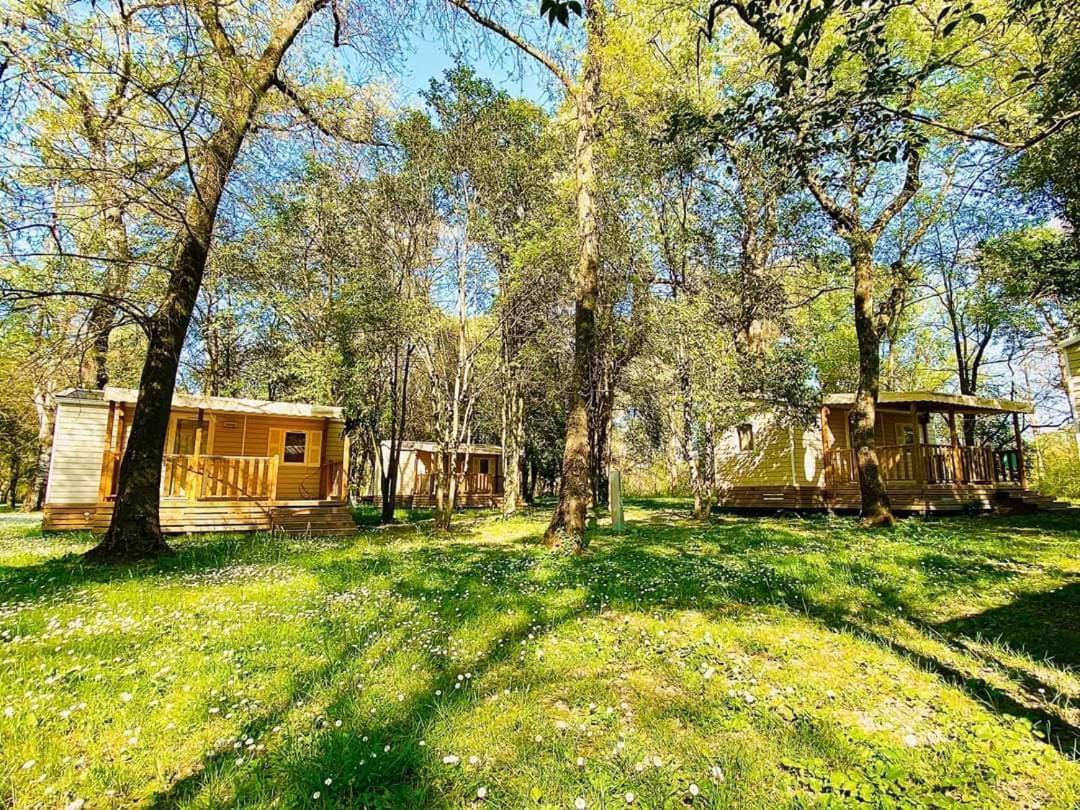 Camping Du Lion บูร์ก-แซ็ง-ต็องเดอ็อล ภายนอก รูปภาพ